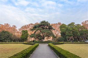 北京城市學(xué)院在職研究生報(bào)考條件