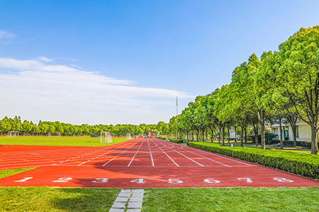 http://www.lmovy.com/jianzhang/0-0-0-0-0-903-0/